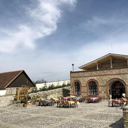 Conacul Maria Theresa Orlat Exteriör bild