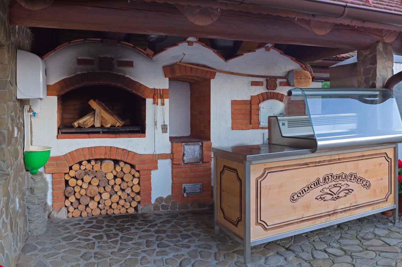 Conacul Maria Theresa Orlat Exteriör bild