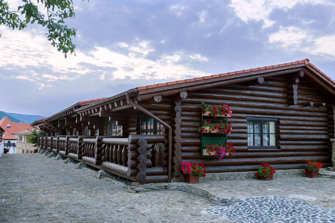 Conacul Maria Theresa Orlat Exteriör bild